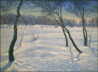 Sonniger Wintertag in Schweden